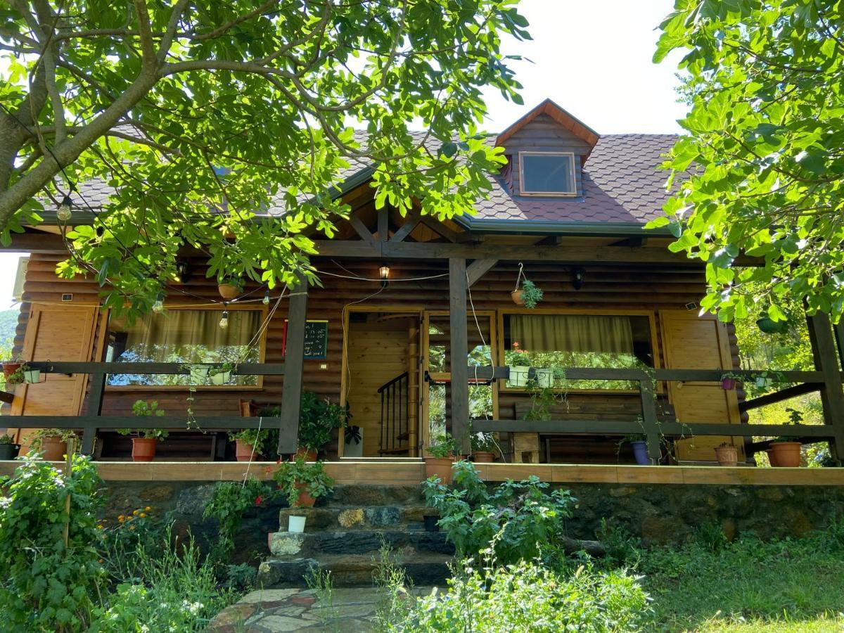 Agora Farmhouse Koman Екстериор снимка
